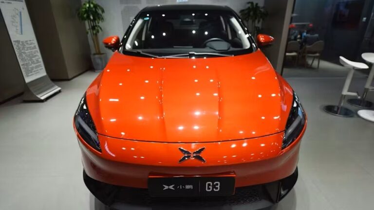 file-20210910-24-tx4hiu Cropped